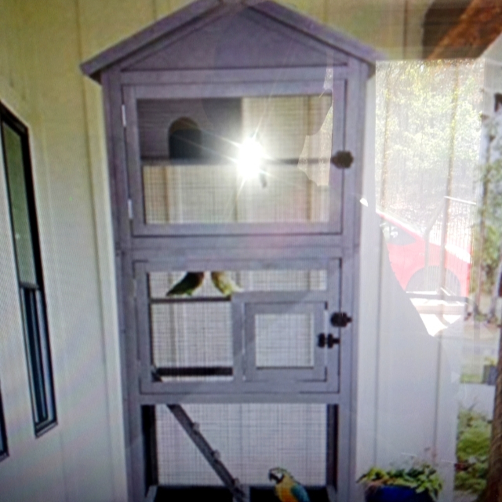 Large bird house/cage 6ft-6ft.5in